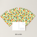 Fruit Pattern #002 (Pack of 4)